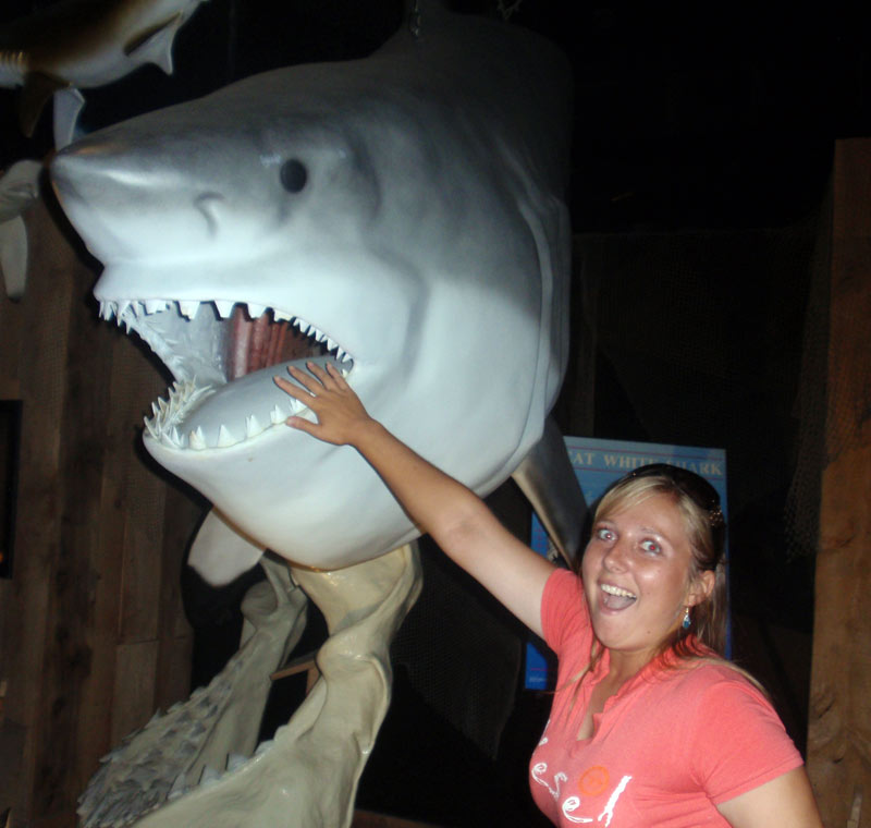 Shark and Thany